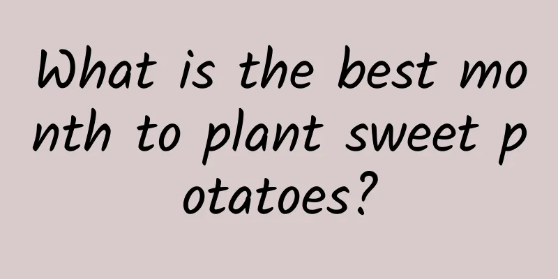 What is the best month to plant sweet potatoes?