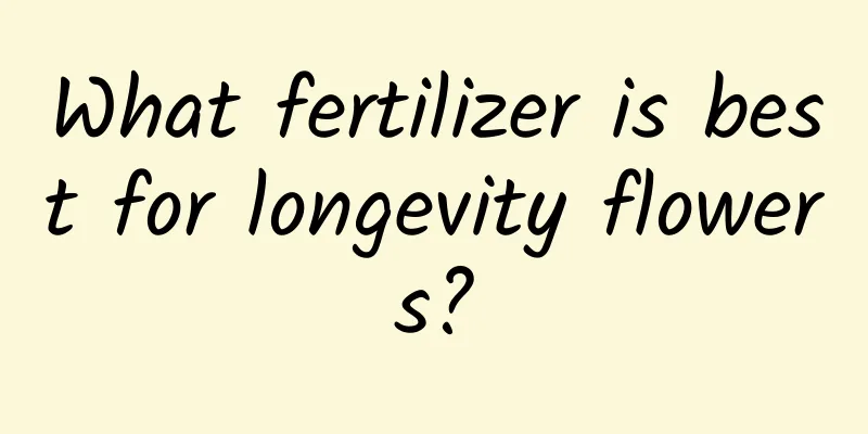 What fertilizer is best for longevity flowers?