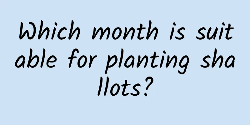 Which month is suitable for planting shallots?