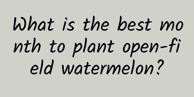 What is the best month to plant open-field watermelon?