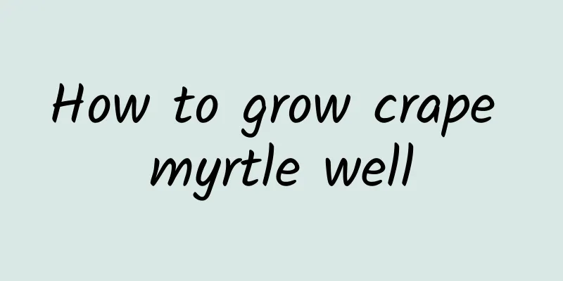 How to grow crape myrtle well