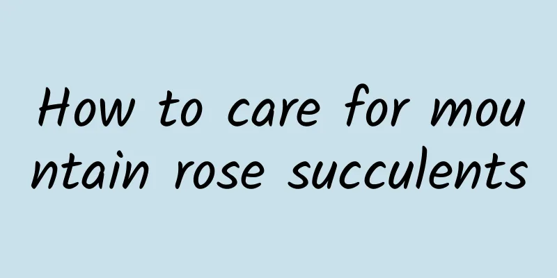 How to care for mountain rose succulents