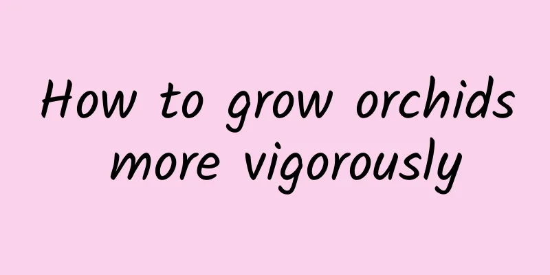 How to grow orchids more vigorously