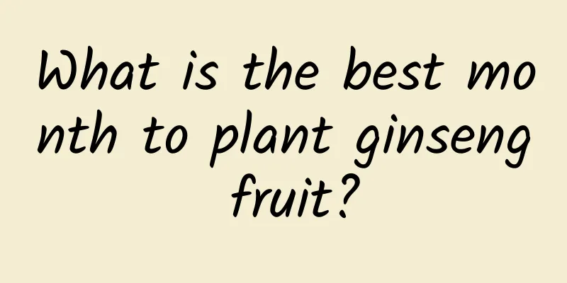 What is the best month to plant ginseng fruit?