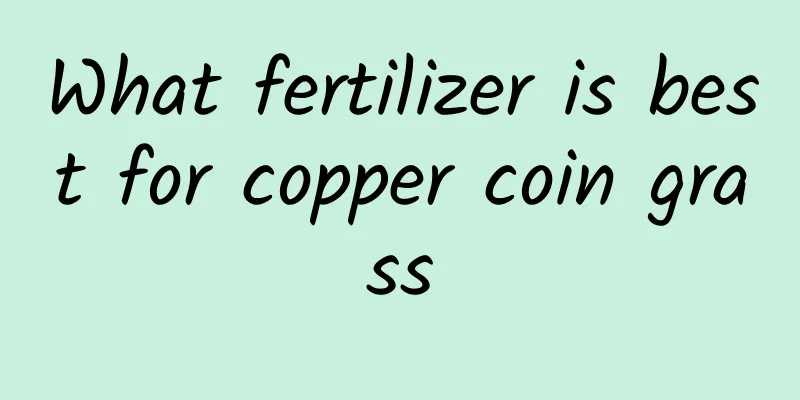 What fertilizer is best for copper coin grass