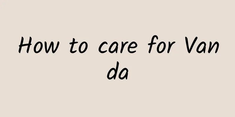 How to care for Vanda
