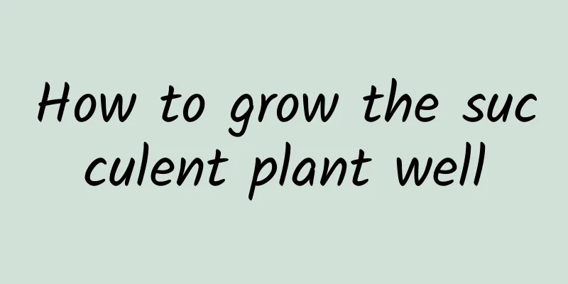 How to grow the succulent plant well