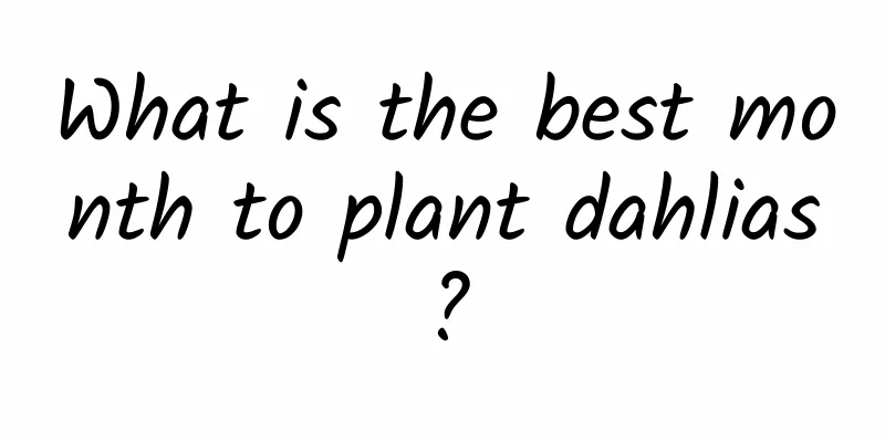 What is the best month to plant dahlias?