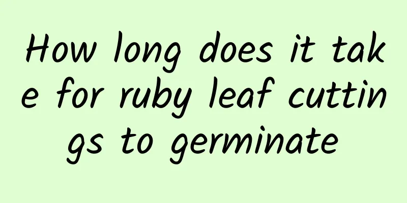 How long does it take for ruby ​​leaf cuttings to germinate