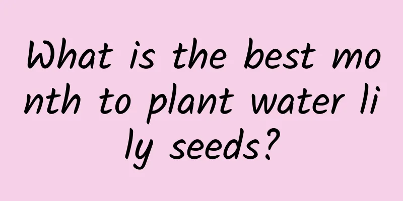 What is the best month to plant water lily seeds?