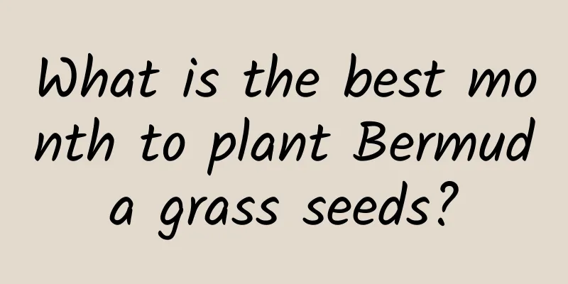 What is the best month to plant Bermuda grass seeds?