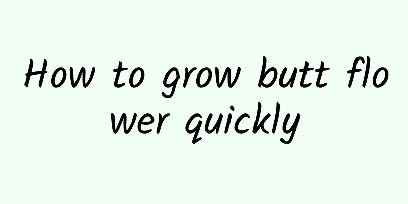 How to grow butt flower quickly