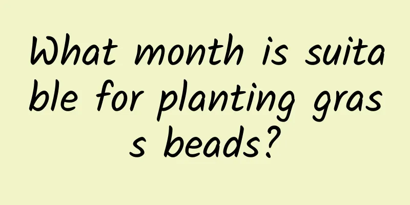 What month is suitable for planting grass beads?