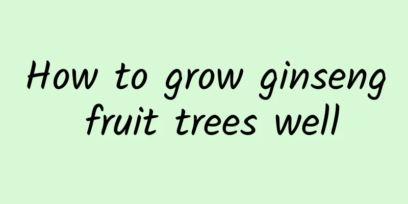 How to grow ginseng fruit trees well
