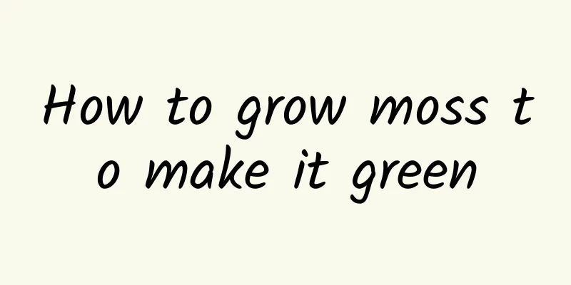 How to grow moss to make it green