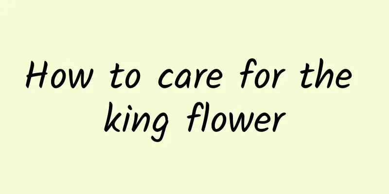 How to care for the king flower