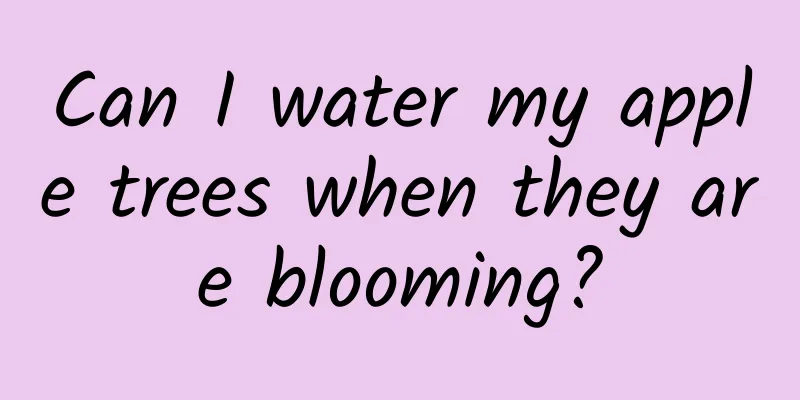 Can I water my apple trees when they are blooming?