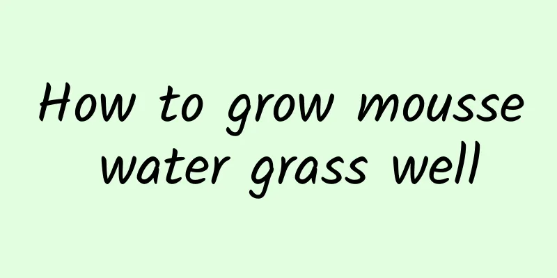 How to grow mousse water grass well