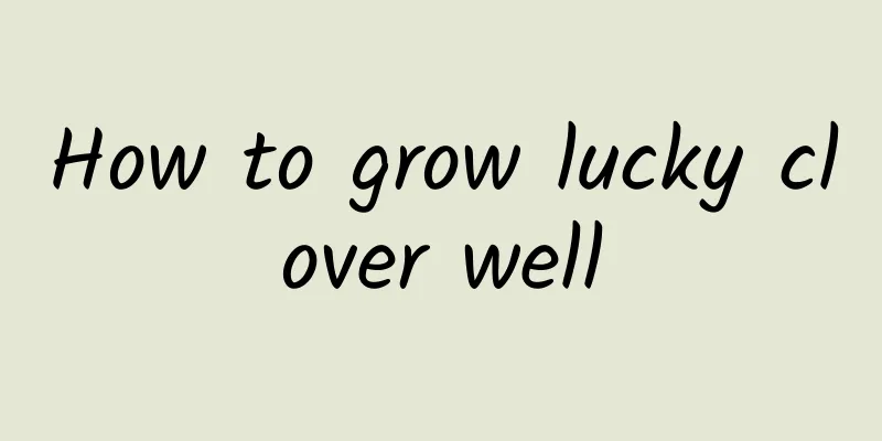 How to grow lucky clover well