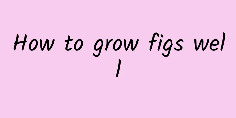 How to grow figs well
