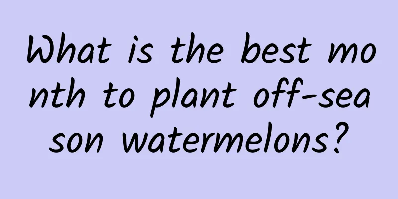 What is the best month to plant off-season watermelons?