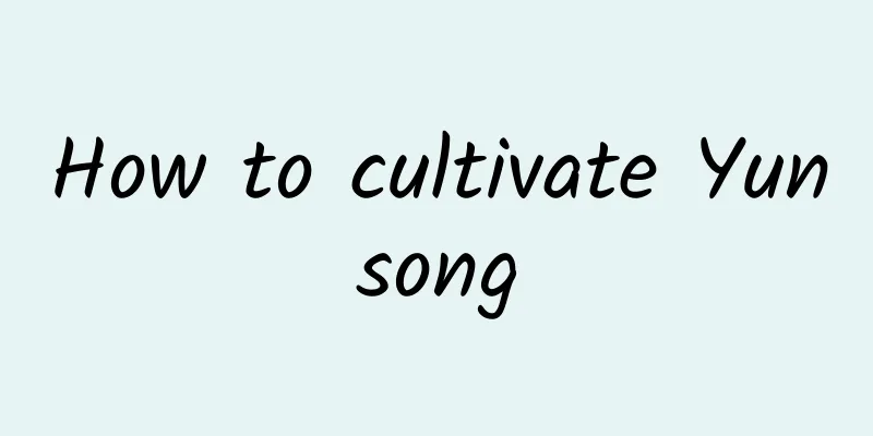 How to cultivate Yunsong
