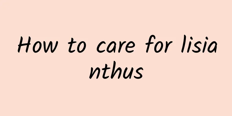 How to care for lisianthus