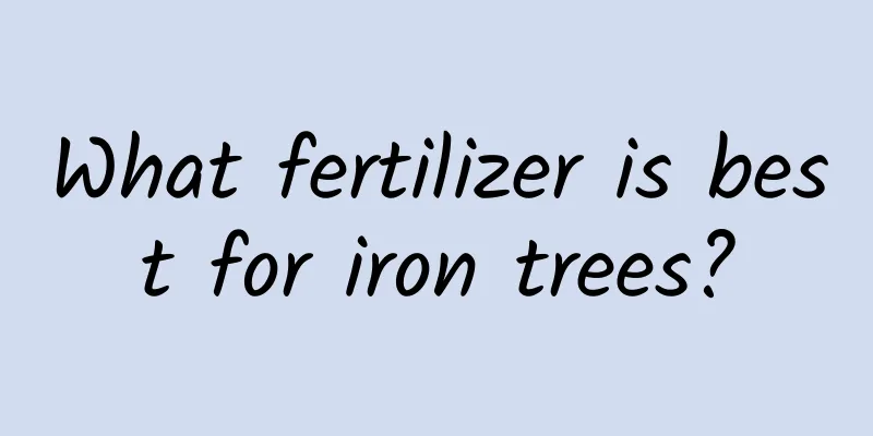 What fertilizer is best for iron trees?