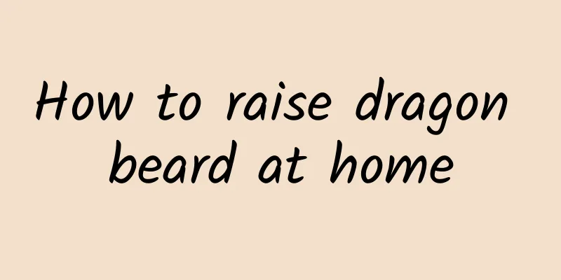 How to raise dragon beard at home