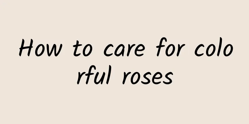 How to care for colorful roses
