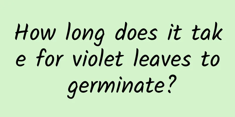 How long does it take for violet leaves to germinate?