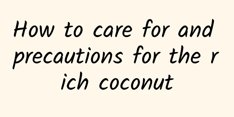 How to care for and precautions for the rich coconut