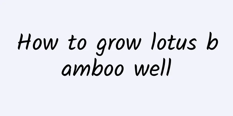 How to grow lotus bamboo well