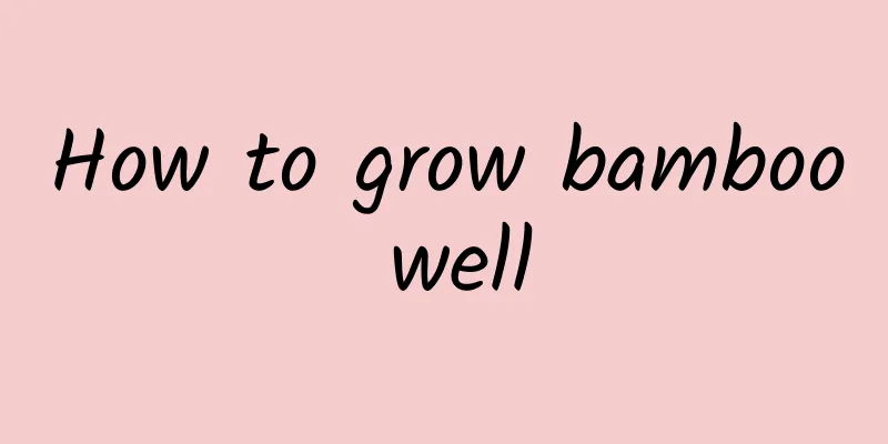 How to grow bamboo well