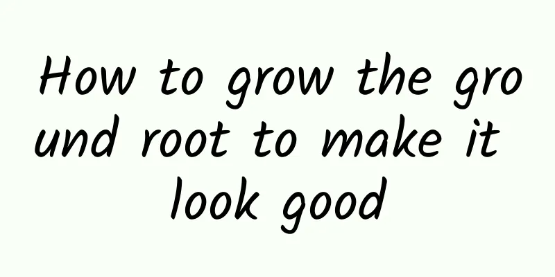 How to grow the ground root to make it look good