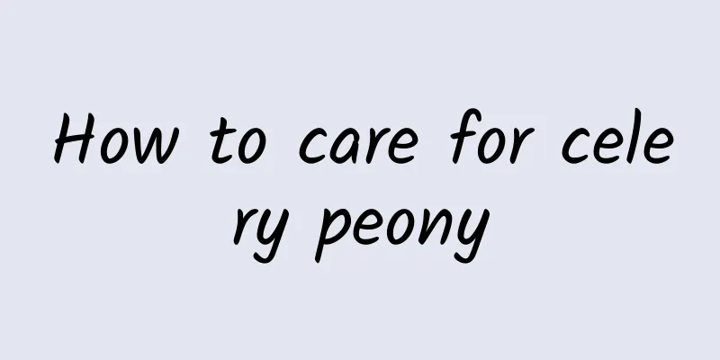 How to care for celery peony