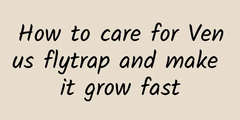 How to care for Venus flytrap and make it grow fast