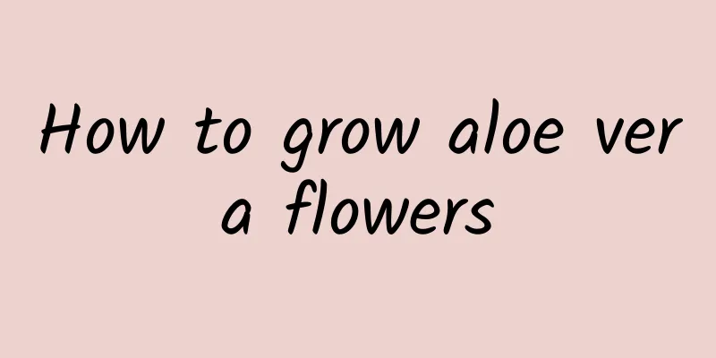 How to grow aloe vera flowers