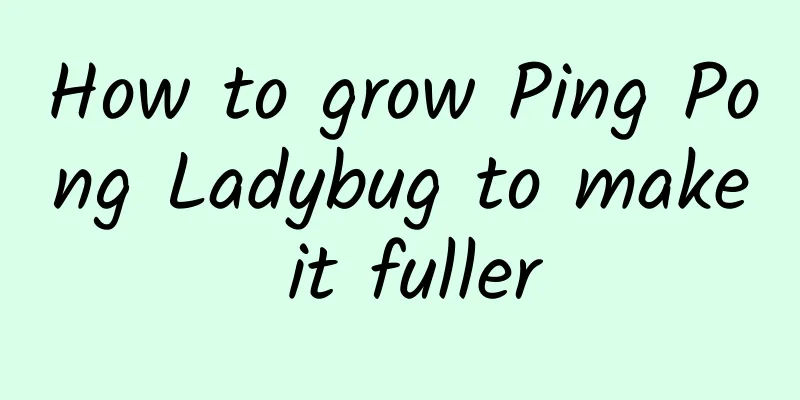 How to grow Ping Pong Ladybug to make it fuller
