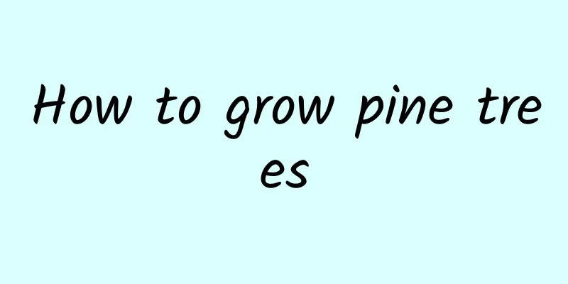 How to grow pine trees