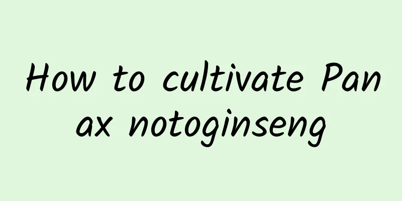 How to cultivate Panax notoginseng
