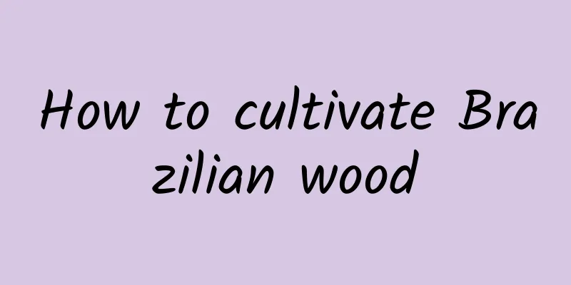 How to cultivate Brazilian wood