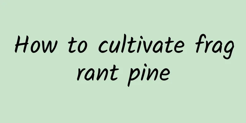 How to cultivate fragrant pine