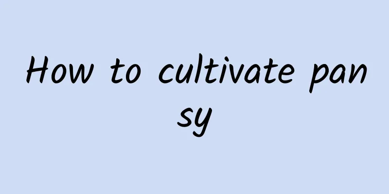 How to cultivate pansy