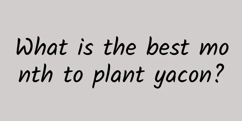 What is the best month to plant yacon?