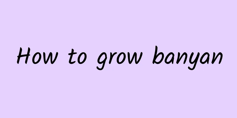 How to grow banyan