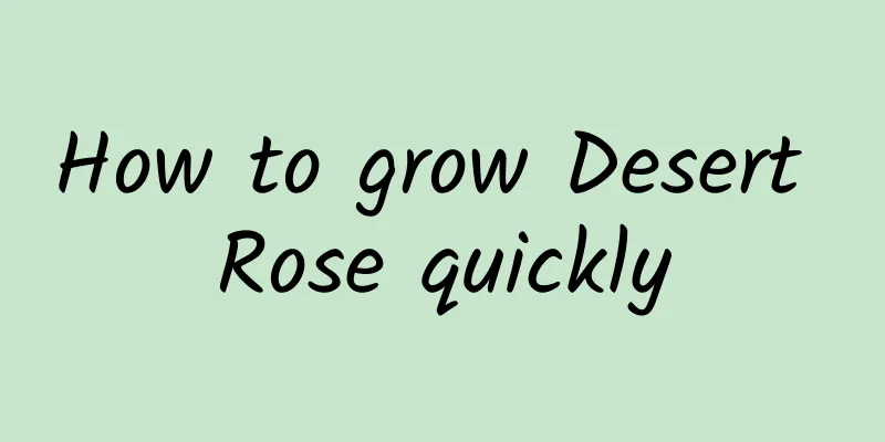 How to grow Desert Rose quickly