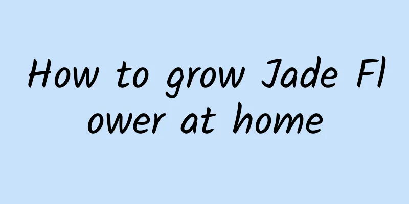 How to grow Jade Flower at home