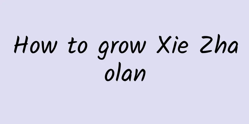 How to grow Xie Zhaolan