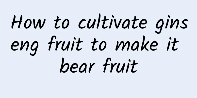 How to cultivate ginseng fruit to make it bear fruit